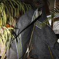 IMG_1407594
