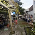 IMG_1407666
