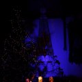 IMG_1412373