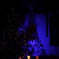 IMG_1412374