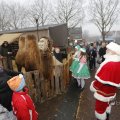 IMG_1411726