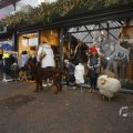 IMG_1411817