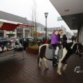 IMG_1411873