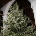 IMG_1412458