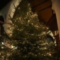 IMG_1412460