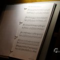 IMG_1412613