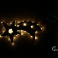 IMG_1413305