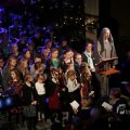 IMG_1413337