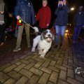 IMG_1413941