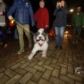 IMG_1413942