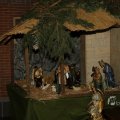 IMG_1415523