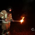 IMG_1416007