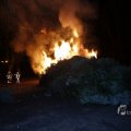 IMG_1416041
