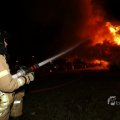 IMG_1416113