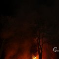 IMG_1416131