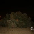 IMG_1416678