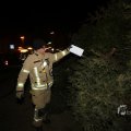 IMG_1416754