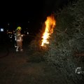 IMG_1416766