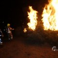 IMG_1416769