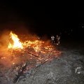 IMG_1416951