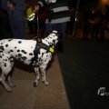 IMG_1417469