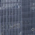 IMG_1418424