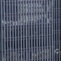 IMG_1418425