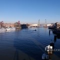 IMG_1423435