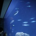 IMG_1418592