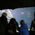 IMG_1418595