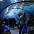 IMG_1418597