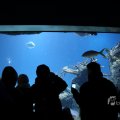 IMG_1418610
