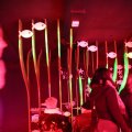 IMG_1418615