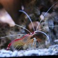 IMG_1418632