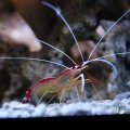 IMG_1418633