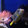 IMG_1418636