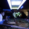 IMG_1418640
