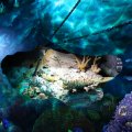 IMG_1418642