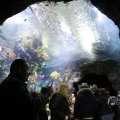 IMG_1418643