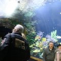 IMG_1418645