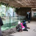 IMG_1418651