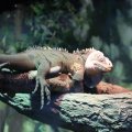 IMG_1418653
