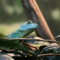 IMG_1418654