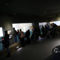 IMG_1418656