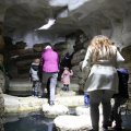 IMG_1418662