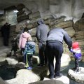 IMG_1418663