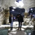 IMG_1418669