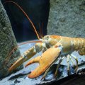 IMG_1418676