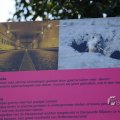 IMG_1418681