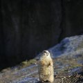 IMG_1418684
